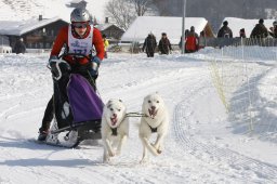 Lenk 2012 SM